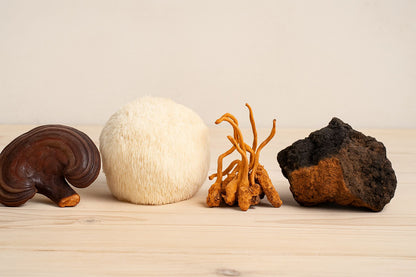 Pack MIX  – 1 Café + 1 Cacao – 35 € au lieu de 40 €